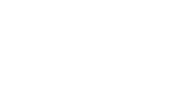 Wdzieczna Skin Concept Logo